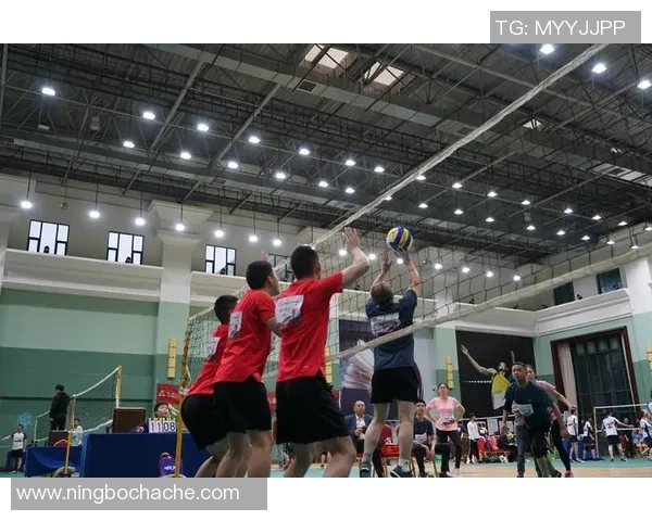 成都排球队在世锦赛中的精彩表现与实力分析